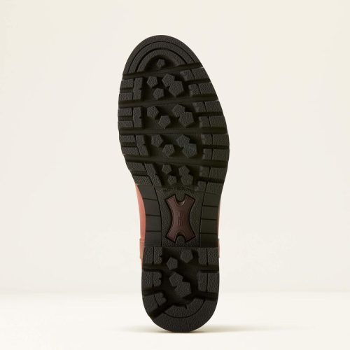 10053770 sole warm