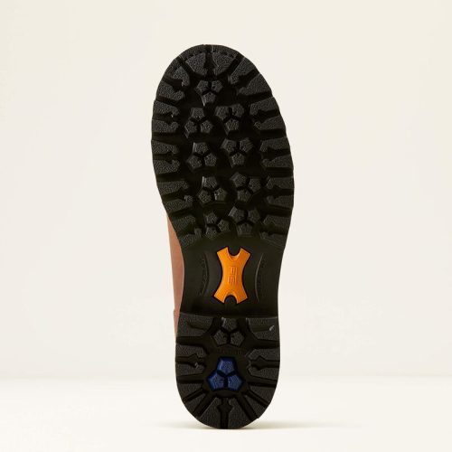 10053818 sole warm